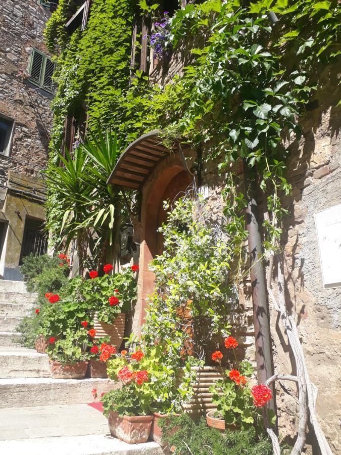 La Piazzetta Toscana B&B Campiglia Marittima Exterior photo